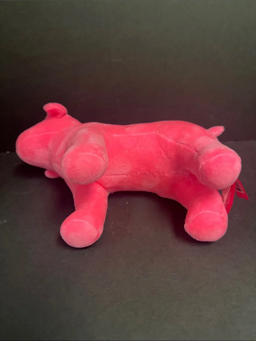 Pink Nation Dog